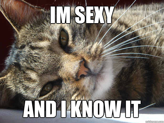 IM SEXY AND I KNOW IT  