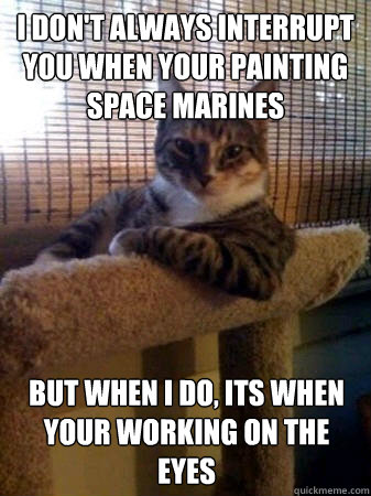 I don't always interrupt you when your painting space marines but when I do, its when your working on the eyes  The Most Interesting Cat in the World
