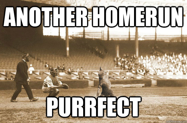 Another homerun purrfect - Another homerun purrfect  Homerun Cat