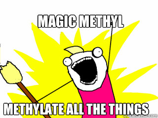 Magic methyl Methylate all the things  All The Things
