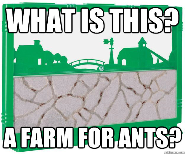 What is this? A farm for ants?  ant farm