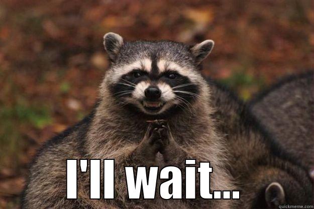  I'LL WAIT... Evil Plotting Raccoon