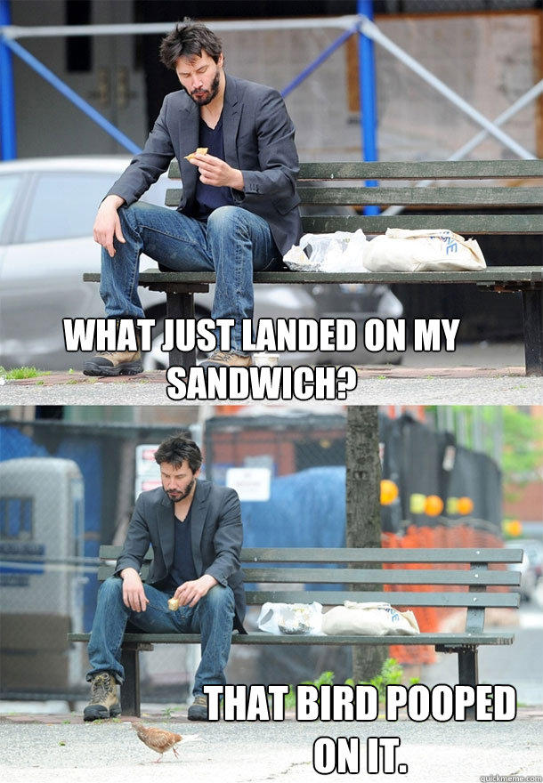 What just landed on my sandwich? That bird pooped
on it. - What just landed on my sandwich? That bird pooped
on it.  Sad Keanu