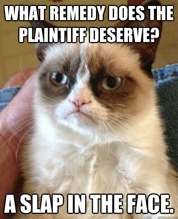 what remedy does the plaintiff deserve? A slap in the face. - what remedy does the plaintiff deserve? A slap in the face.  Grumpy Cat