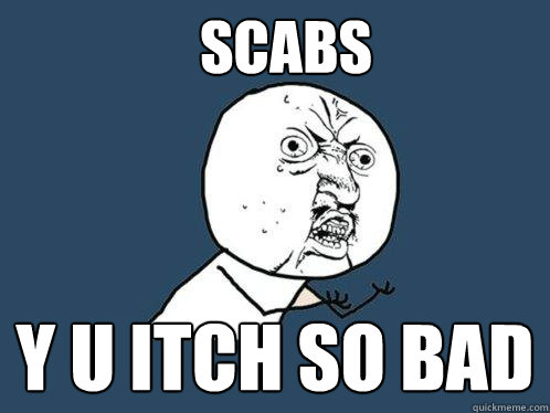 SCABS Y U ITCH SO BAD  Y U No