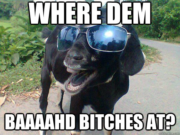 Where dem Baaaahd Bitches at?  Fly Goat