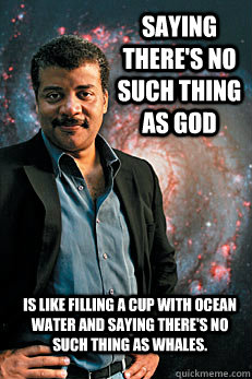 Saying there's no such thing as God Is like filling a cup with ocean water and saying there's no such thing as whales.  Neil deGrasse Tyson