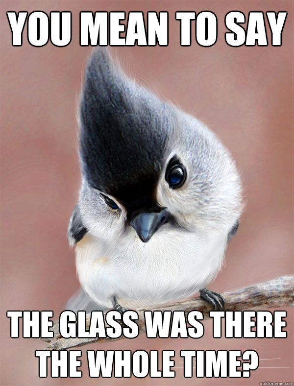 You Mean to say The glass was there the whole time?  Sad Bird