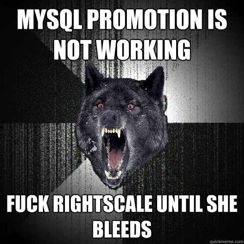 MySQL promotion is not working Fuck RightScale until she bleeds  Insanity Wolf