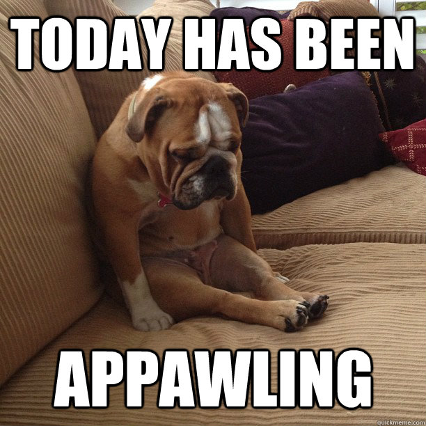 today has been appawling  depressed dog