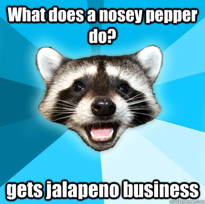 What does a nosey pepper do? gets jalapeno business  - What does a nosey pepper do? gets jalapeno business   Lame Pun Coon