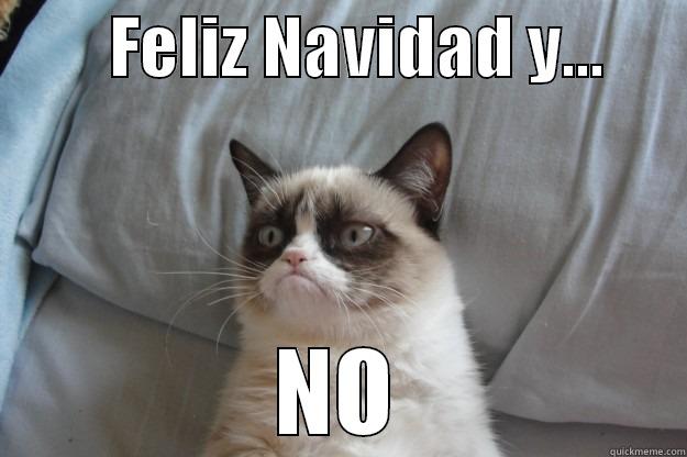         FELIZ NAVIDAD Y...       NO Grumpy Cat