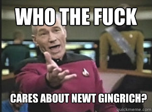 Who the fuck Cares about Newt Gingrich?  Annoyed Picard