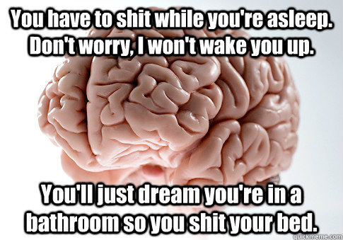 You have to shit while you're asleep. Don't worry, I won't wake you up.  You'll just dream you're in a bathroom so you shit your bed.  Scumbag Brain