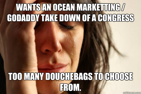 Wants an Ocean Marketting / GoDaddy take down of a congress person.  Too many douchebags to choose from.   First World Problems