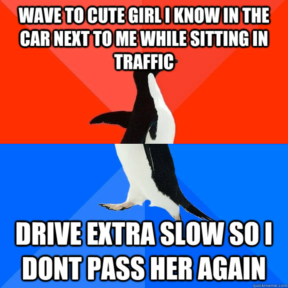 Wave to cute girl i know in the car next to me while sitting in traffic  drive extra slow so i dont pass her again  Socially Awesome Awkward Penguin