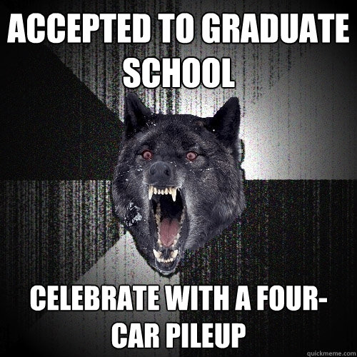 ACCEPTED TO GRADUATE SCHOOL CELEBRATE WITH A FOUR-CAR PILEUP   Insanity Wolf