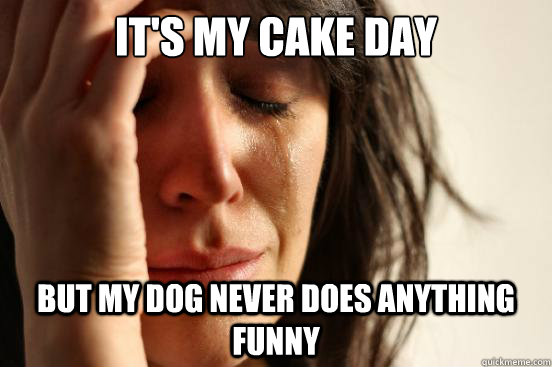 It's my cake day but my dog never does anything funny  First World Problems