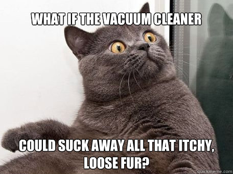 what if the vacuum cleaner could suck away all that itchy, loose fur?  conspiracy cat