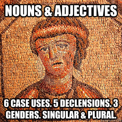 nouns & Adjectives 6 case uses. 5 declensions. 3 genders. singular & plural.  