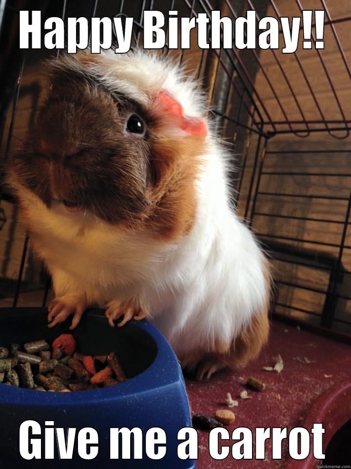 HAPPY BIRTHDAY!! GIVE ME A CARROT Misc
