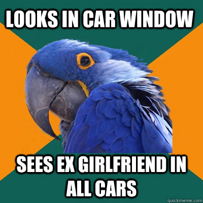 looks in car window sees ex girlfriend in all cars  Paranoid Parrot