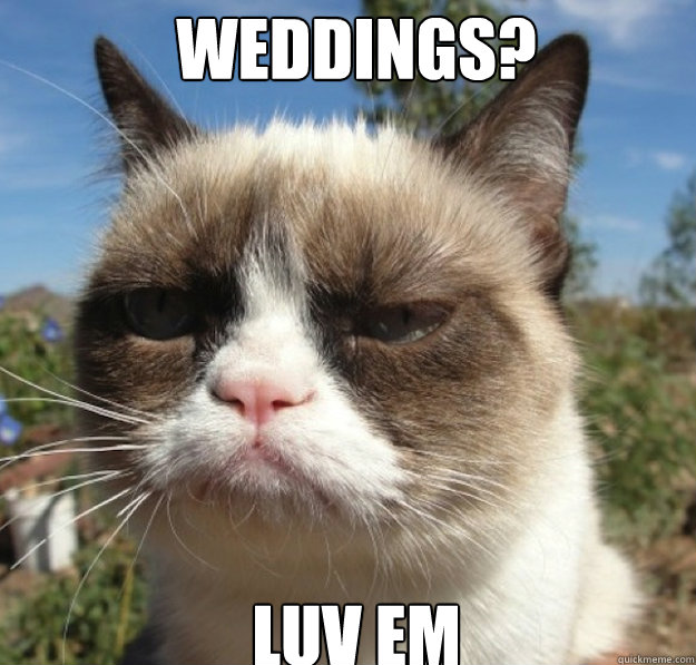 Weddings? Luv em - Weddings? Luv em  Misc