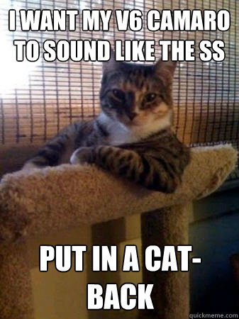 I want my v6 camaro to sound like the SS put in a cat-back  The Most Interesting Cat in the World