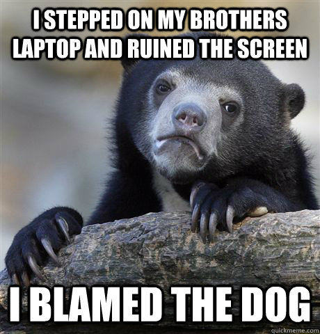 I stepped on my brothers laptop and ruined the screen I blamed the dog  Confession Bear