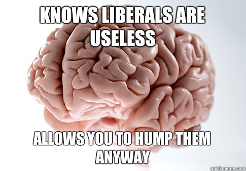 Knows liberals are useless Allows you to hump them anyway  Scumbag Brain