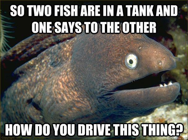 So two fish are in a tank and one says to the other how do you drive this thing?  Bad Joke Eel