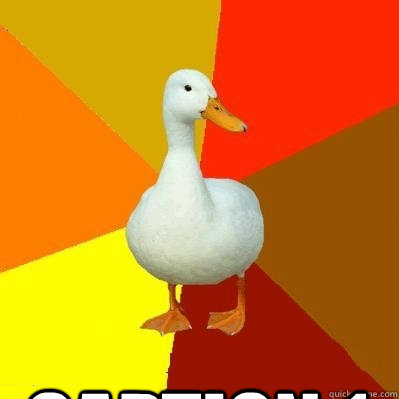 Caption 1  Tech Impaired Duck