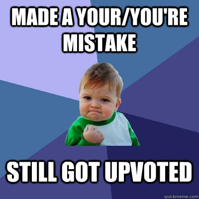 Made a your/you're mistake still got upvoted  Success Kid