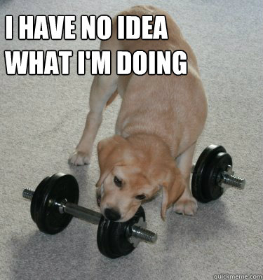 I have no idea
what i'm doing - I have no idea
what i'm doing  Gym Dog