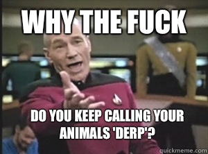 Why the fuck Do you keep calling your animals 'Derp'?  Annoyed Picard