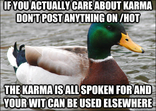 If you actually care about karma don't post anything on /hot The karma is all spoken for and your wit can be used elsewhere  Actual Advice Mallard