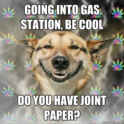 going into gas station, be cool do you have joint paper?  Stoner Dog