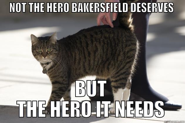 NOT THE HERO BAKERSFIELD DESERVES BUT THE HERO IT NEEDS Misc