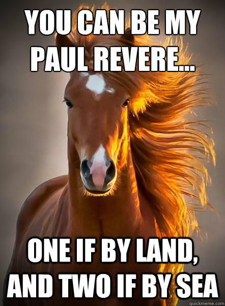 You Can Be My
Paul Revere... One if by land, and two if by sea  Ridiculously Photogenic Horse