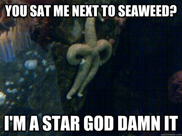 You sat me next to seaweed? I'm a star god damn it - You sat me next to seaweed? I'm a star god damn it  Misc