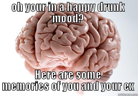 OH YOUR IN A HAPPY DRUNK MOOD? HERE ARE SOME MEMORIES OF YOU AND YOUR EX Scumbag Brain