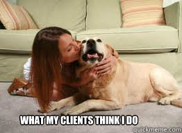 What my clients think I do  Pet Sitter