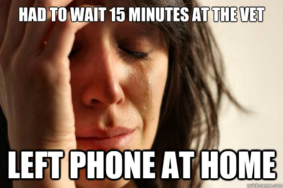 Had to wait 15 minutes at the vet Left phone at home  First World Problems