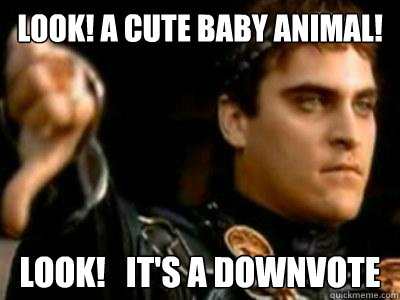 Look! A cute baby animal! Look!   it's a downvote  Downvoting Roman