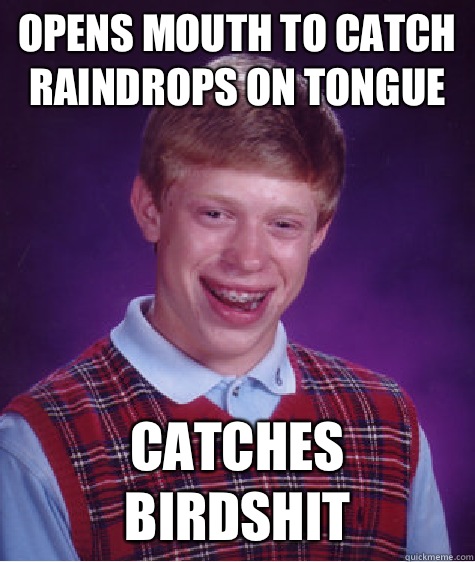 Opens mouth to catch raindrops on tongue Catches birdshit - Opens mouth to catch raindrops on tongue Catches birdshit  Bad Luck Brian