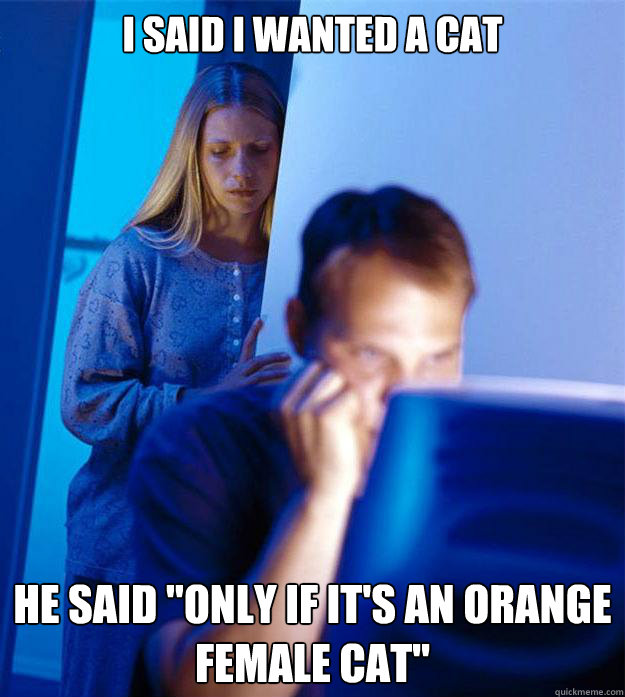 I said I wanted a cat He said 