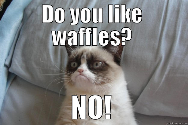 Do you like waffles - DO YOU LIKE WAFFLES? NO! Grumpy Cat