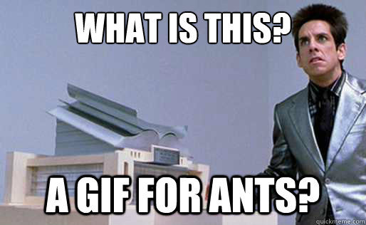 What is this? a gif for ants?  