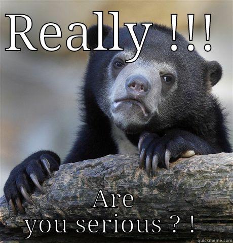 REALLY !!!  ARE YOU SERIOUS ? !  Confession Bear