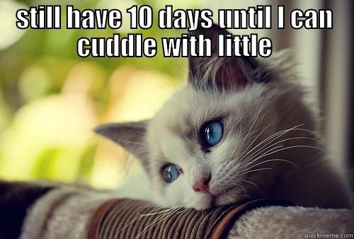 STILL HAVE 10 DAYS UNTIL I CAN CUDDLE WITH LITTLE  First World Problems Cat